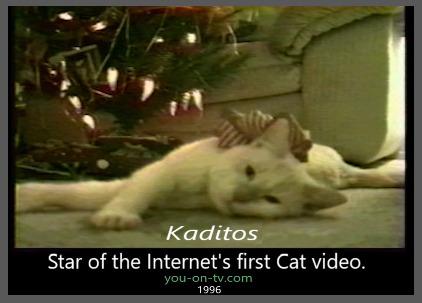 first online cat video